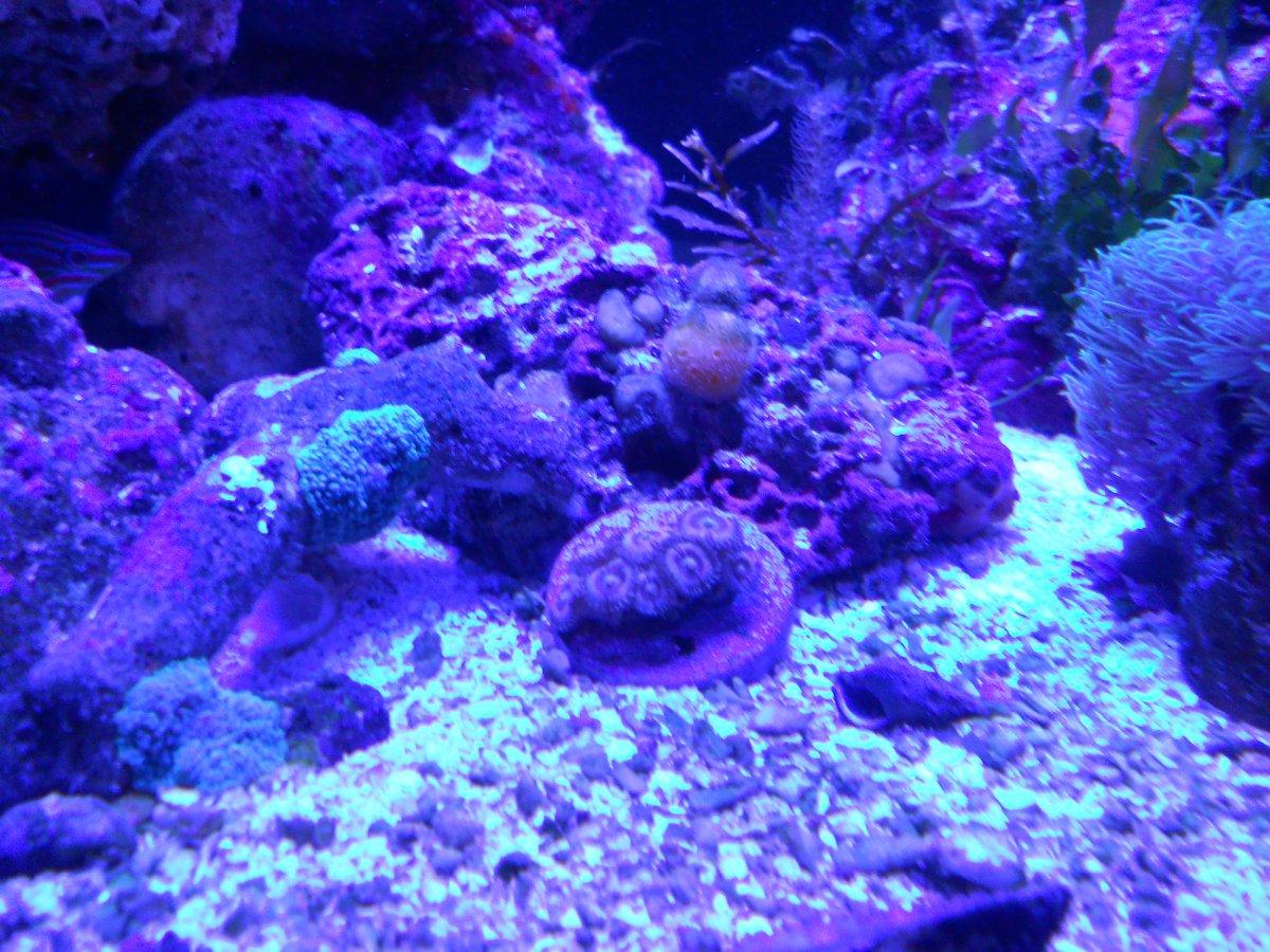 DSCN0510.JPG