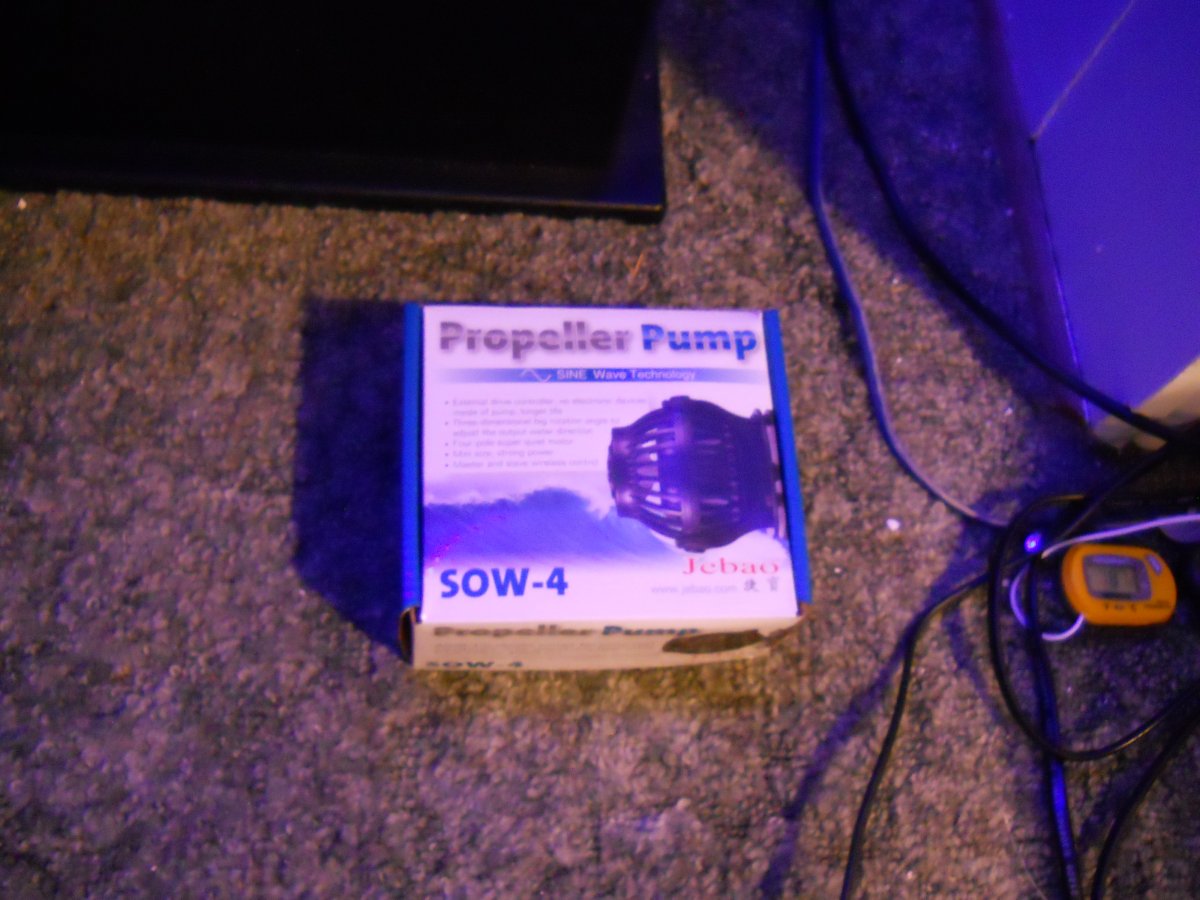 DSCN0511.JPG