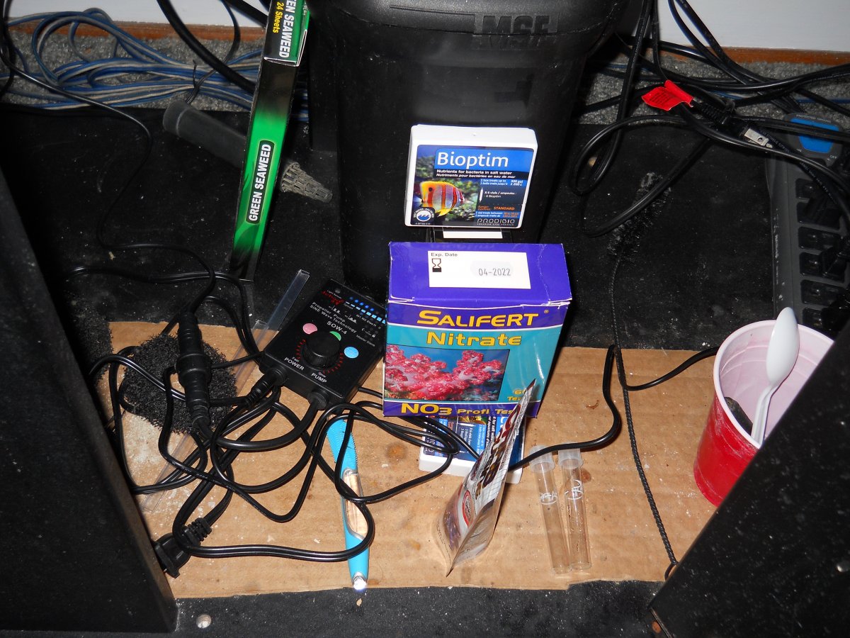 DSCN0513.JPG