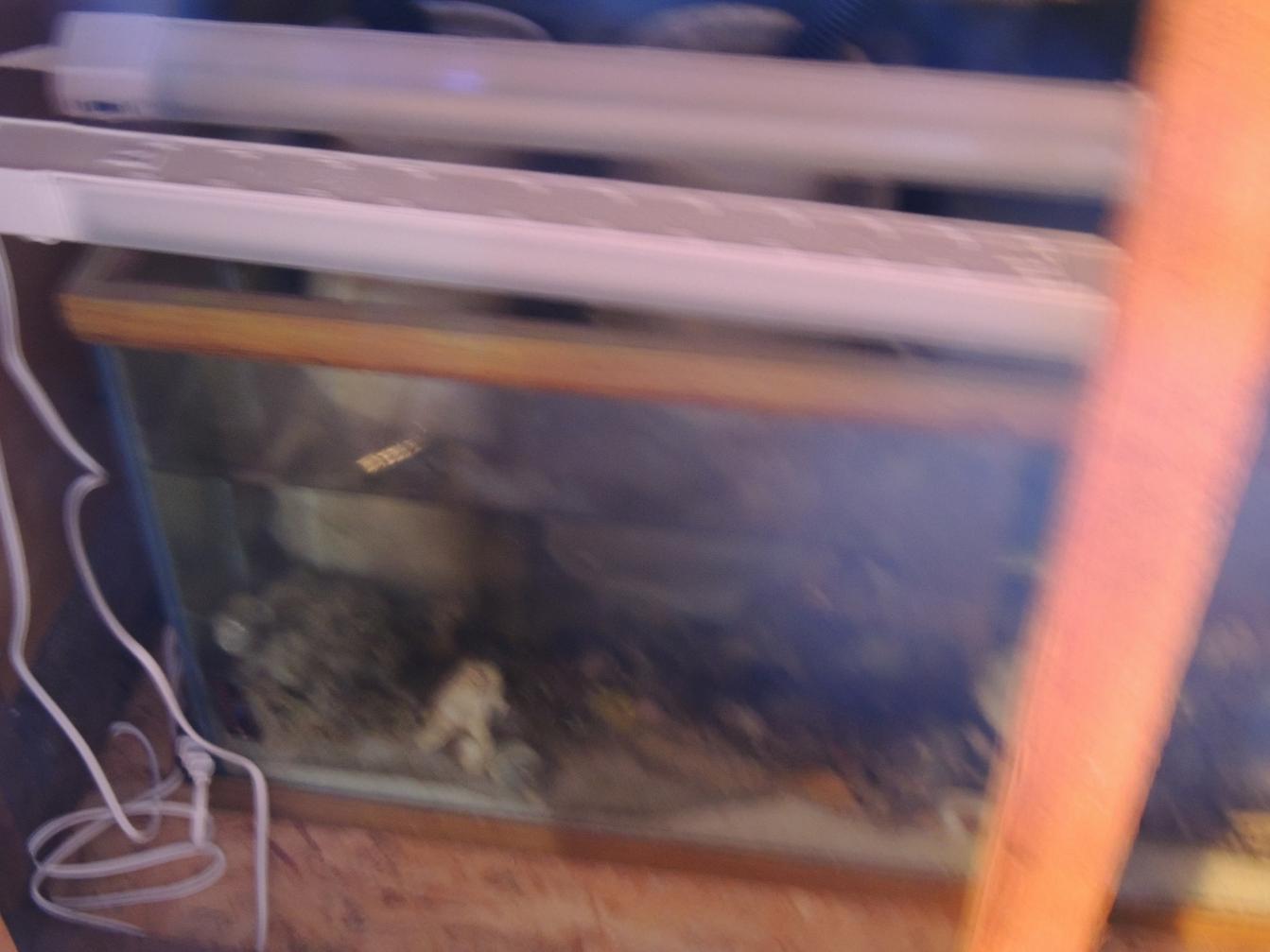 DSCN0875.jpg