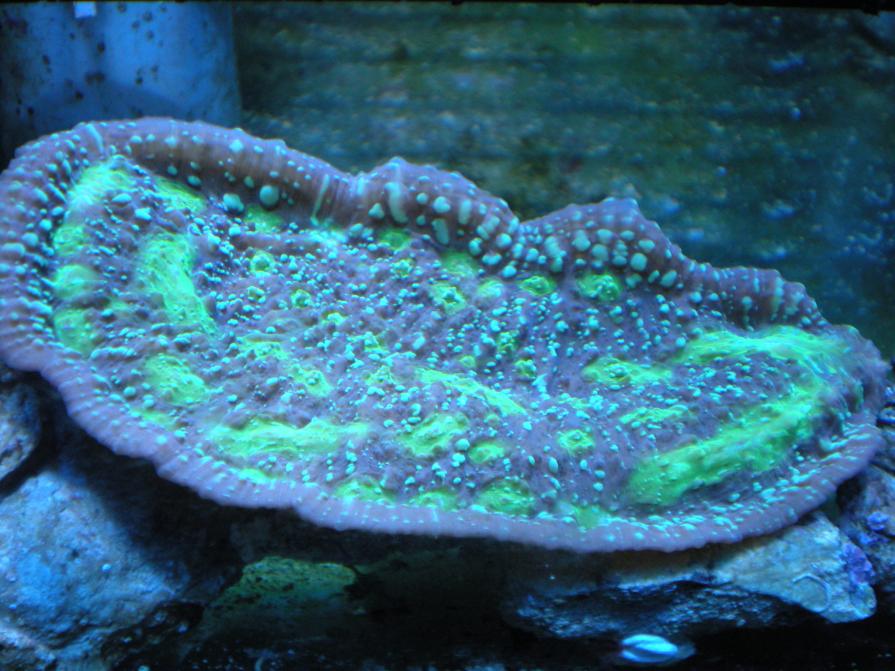 DSCN1194.jpg