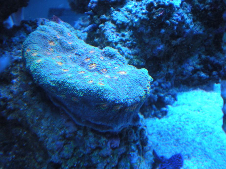 DSCN1199.jpg