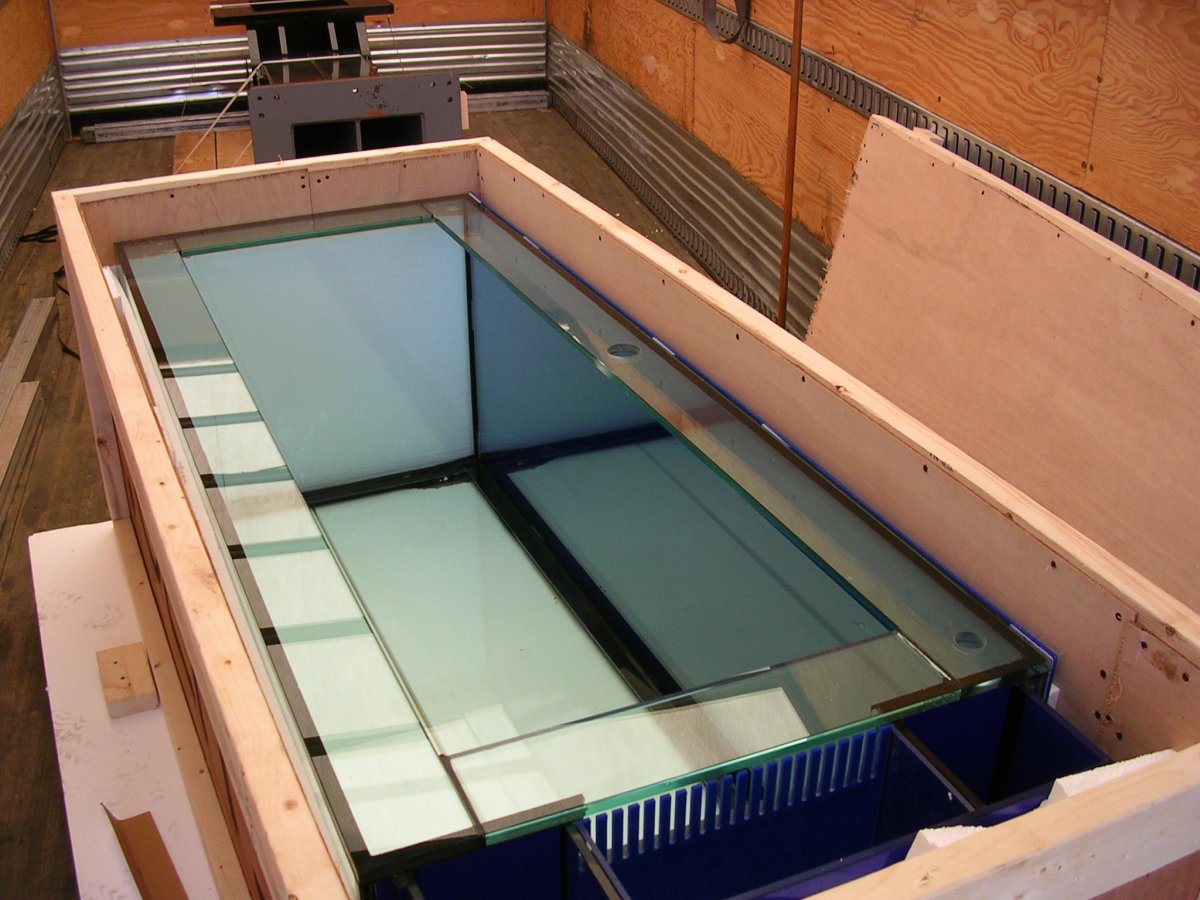 DSCN1258.JPG