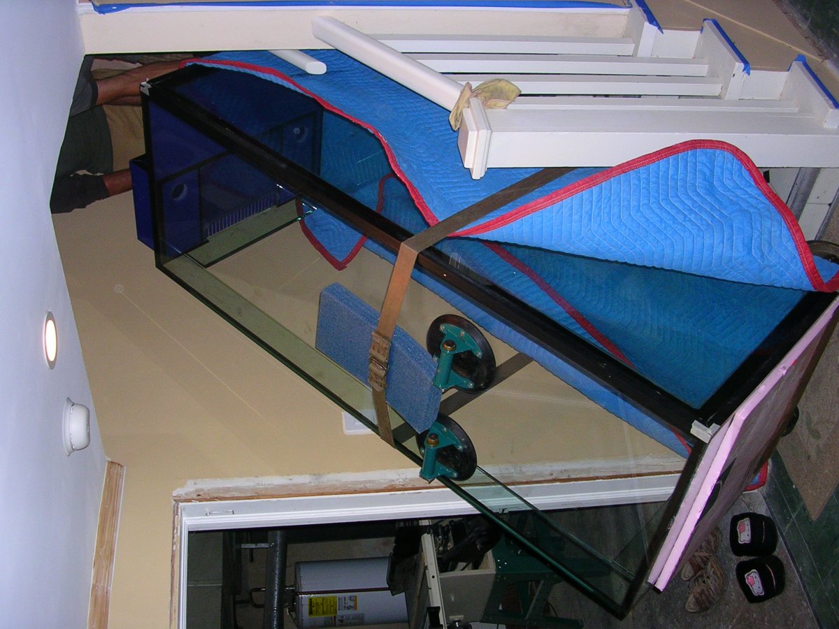 DSCN1272.JPG