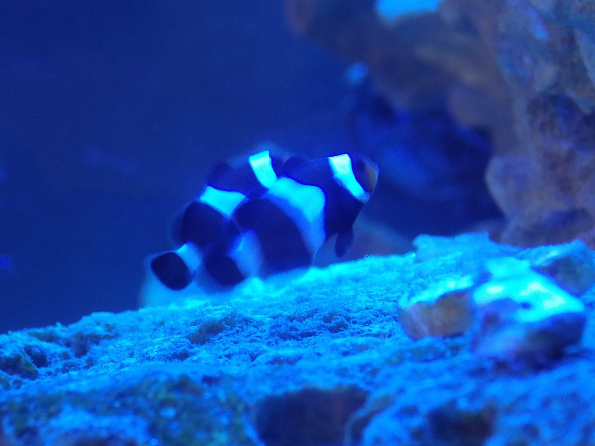 DSCN1380.JPG