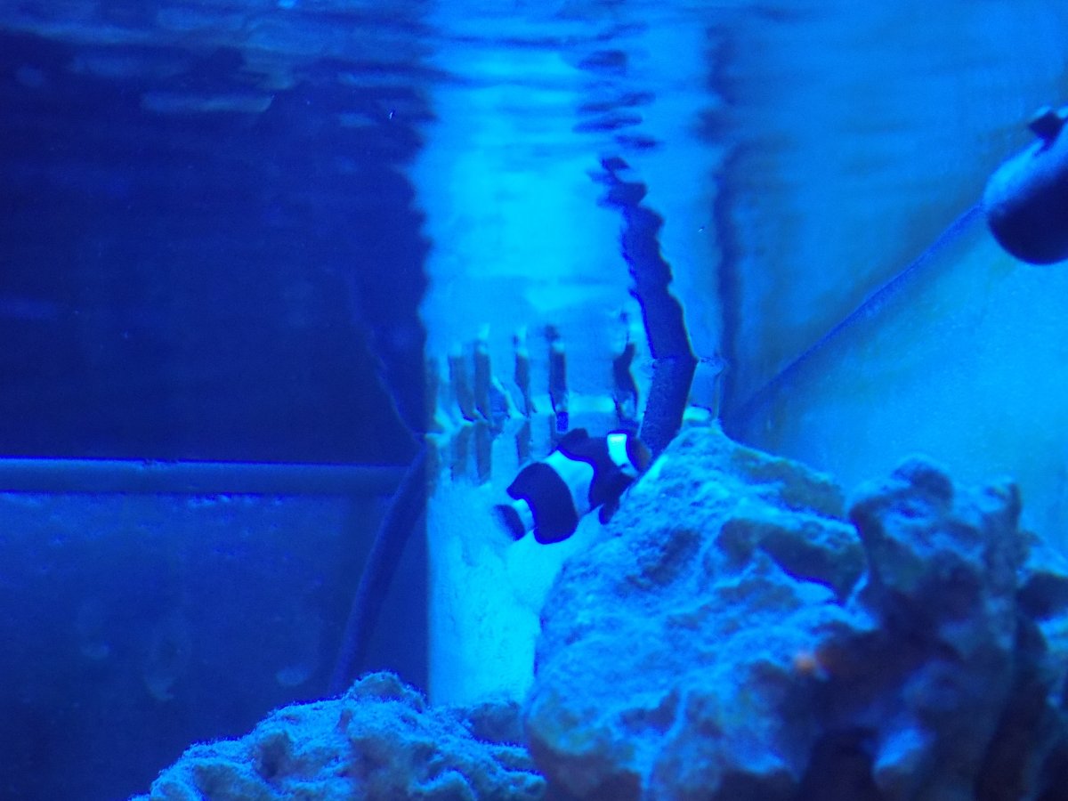DSCN1383.JPG