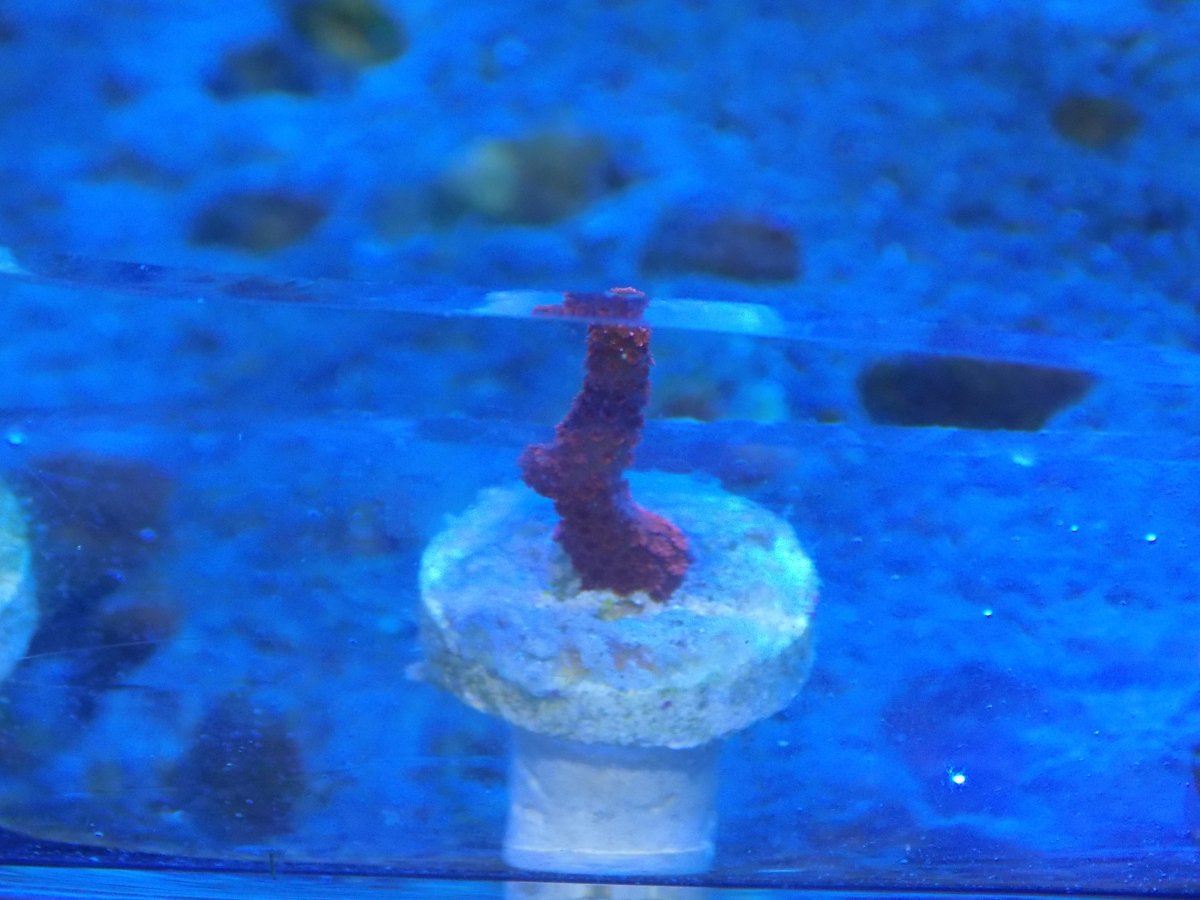 DSCN1402.JPG