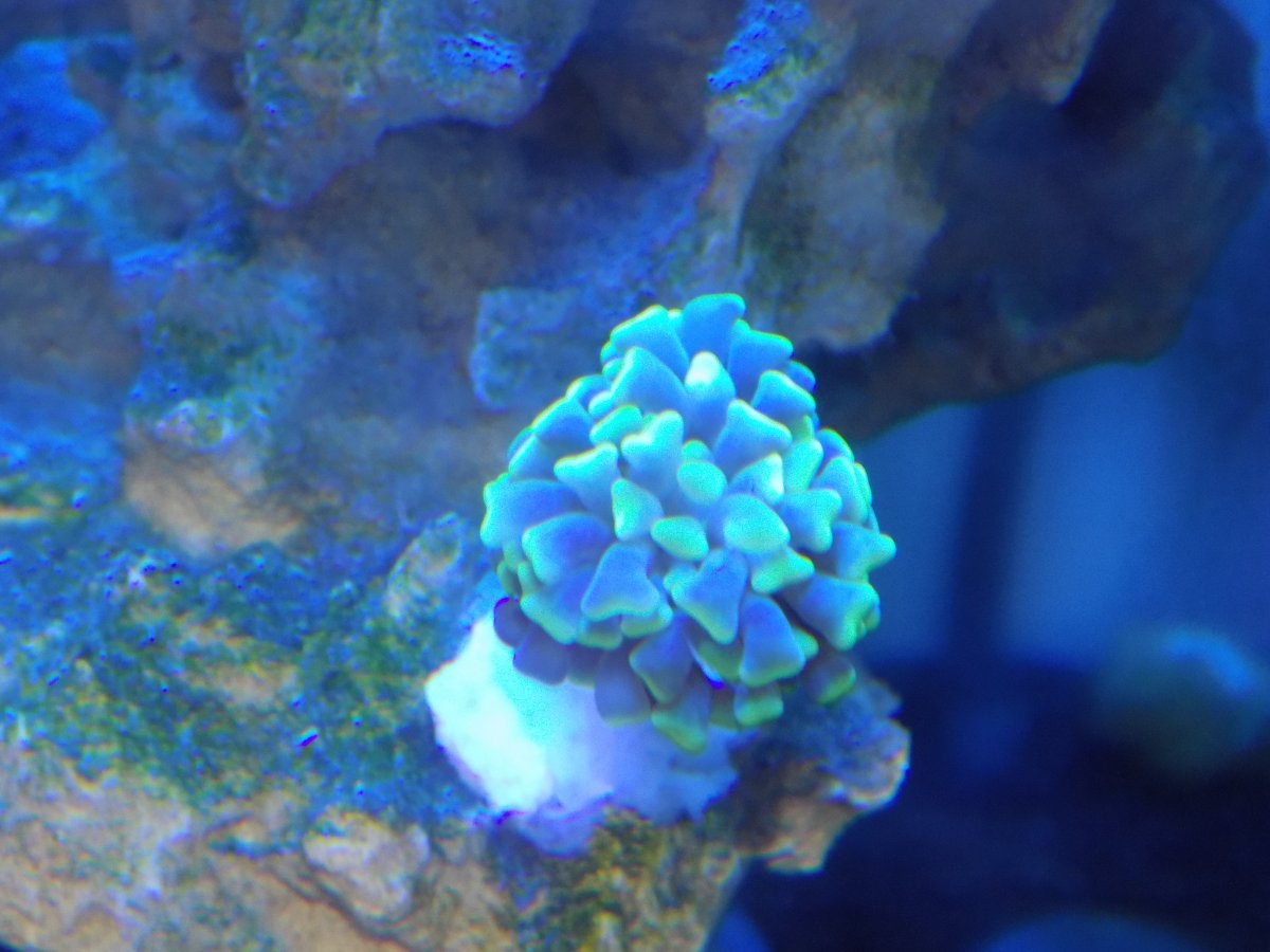 DSCN1405.JPG