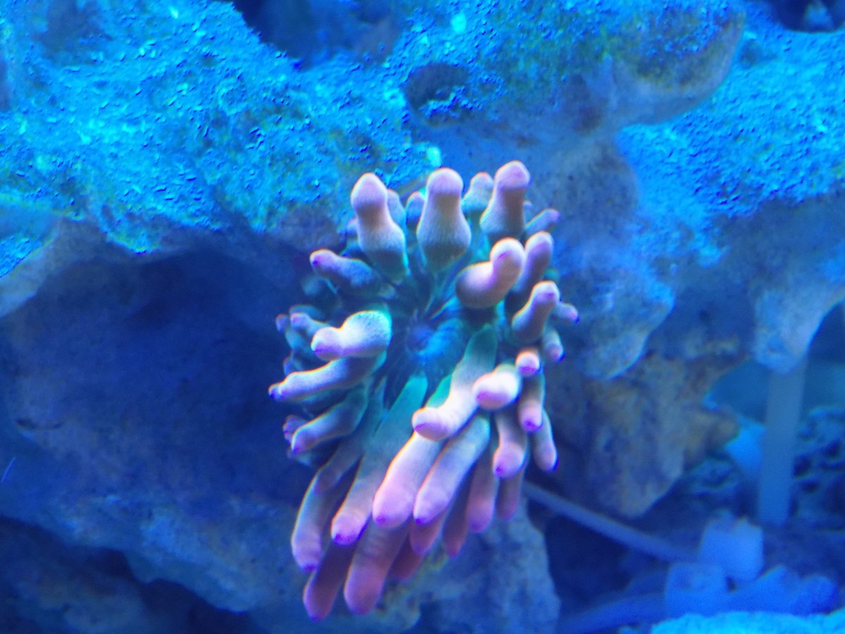 DSCN1407.JPG