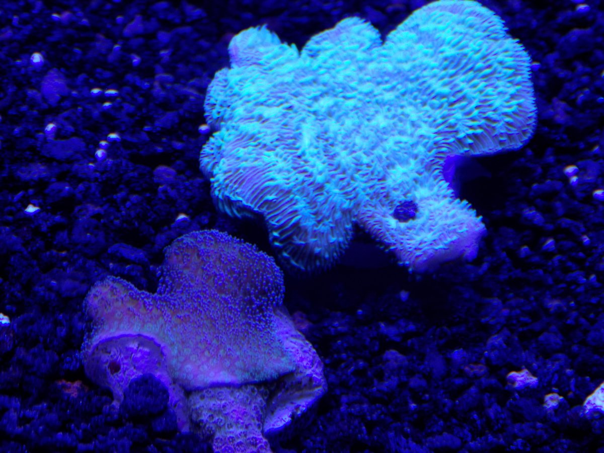 DSCN1413.JPG