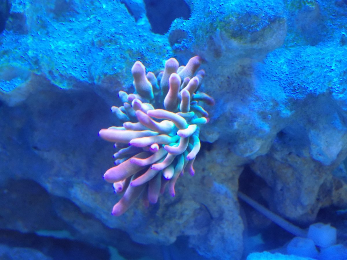 DSCN1415.JPG