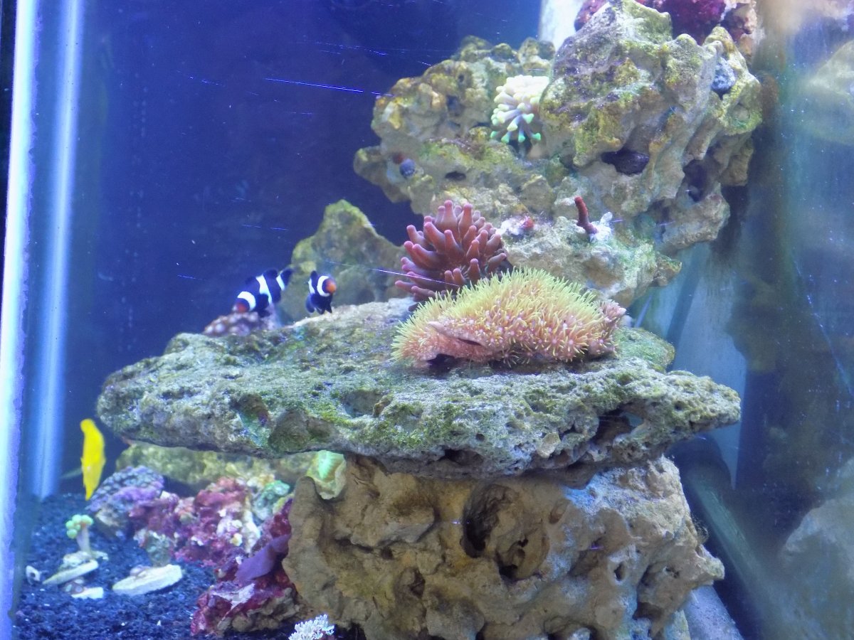 DSCN1425.JPG