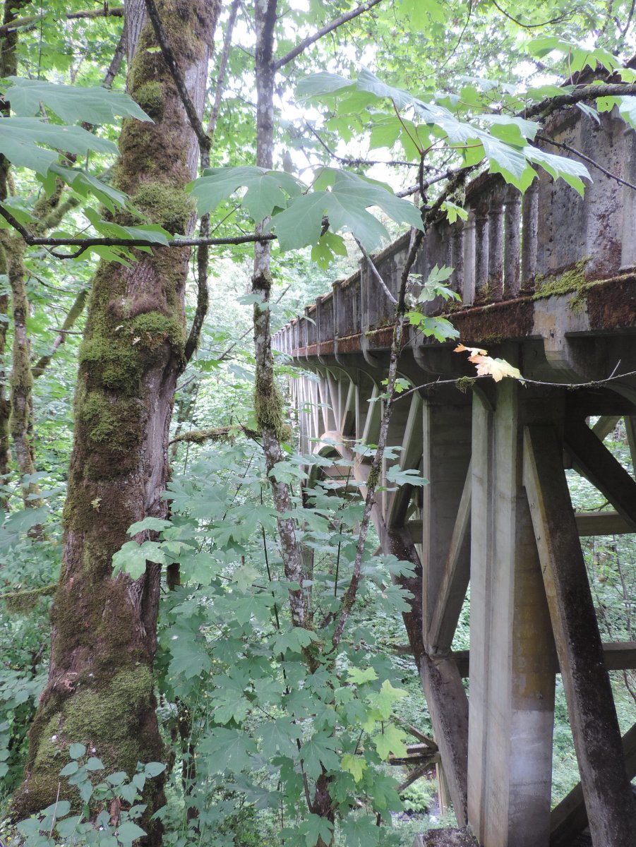 DSCN1579.JPG