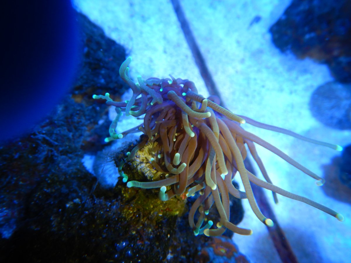 DSCN1582.JPG