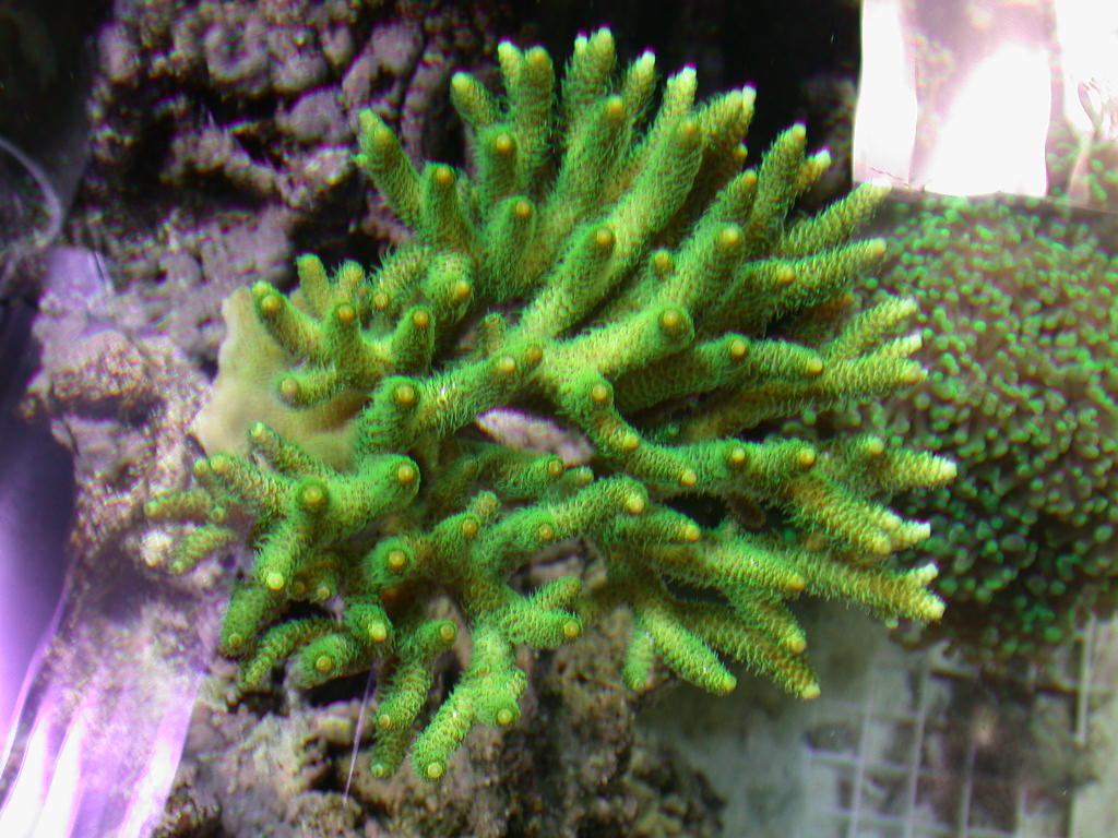 DSCN1788.JPG