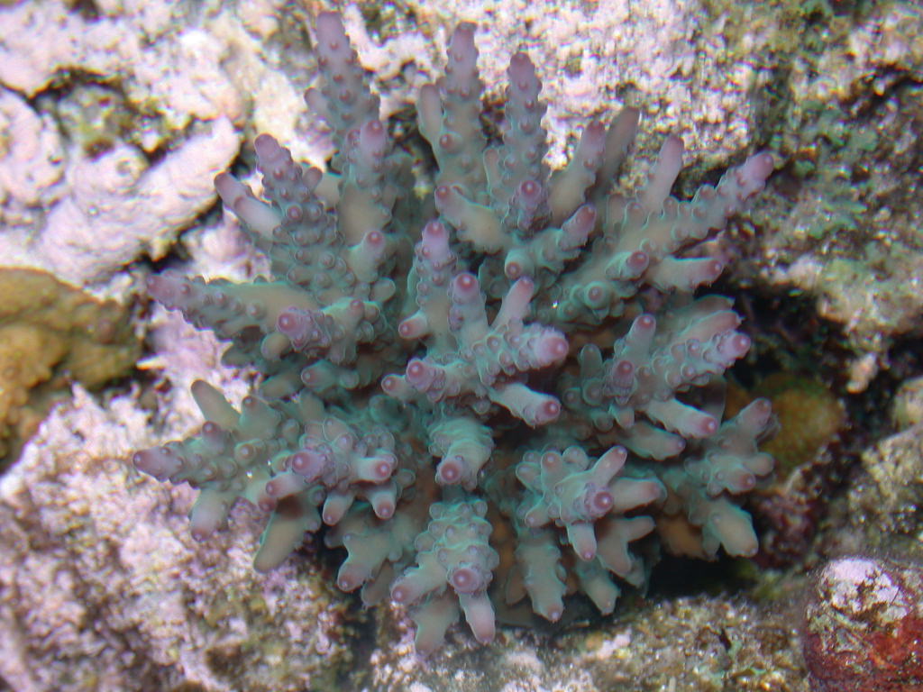 DSCN1794.JPG