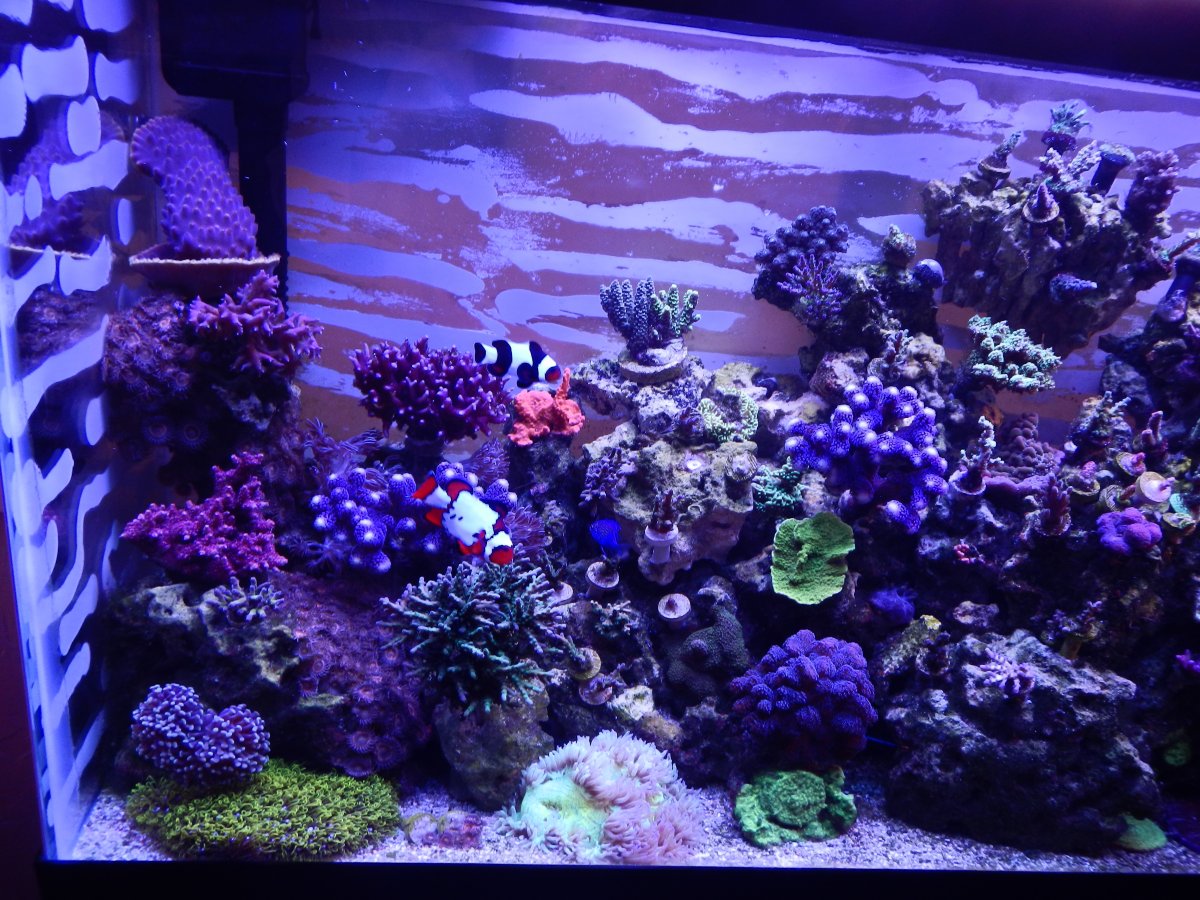 DSCN1816.JPG