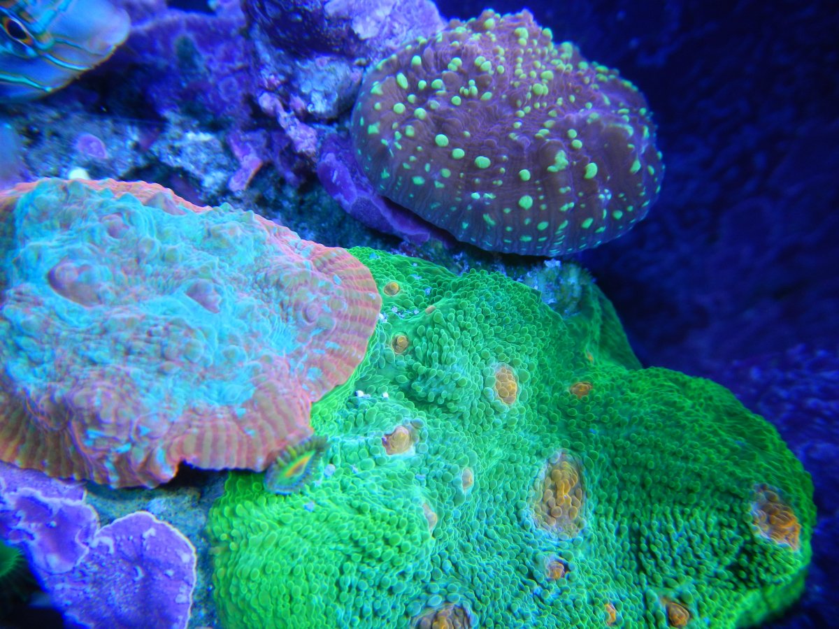 DSCN1908.JPG