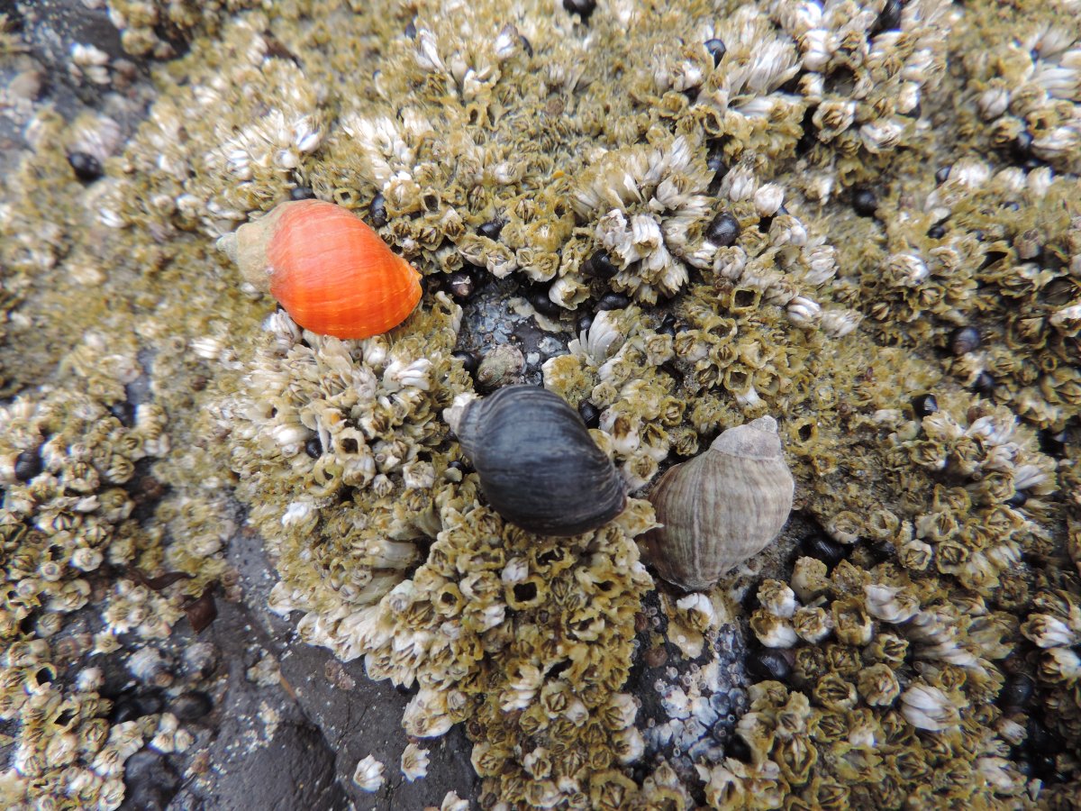DSCN2056.JPG
