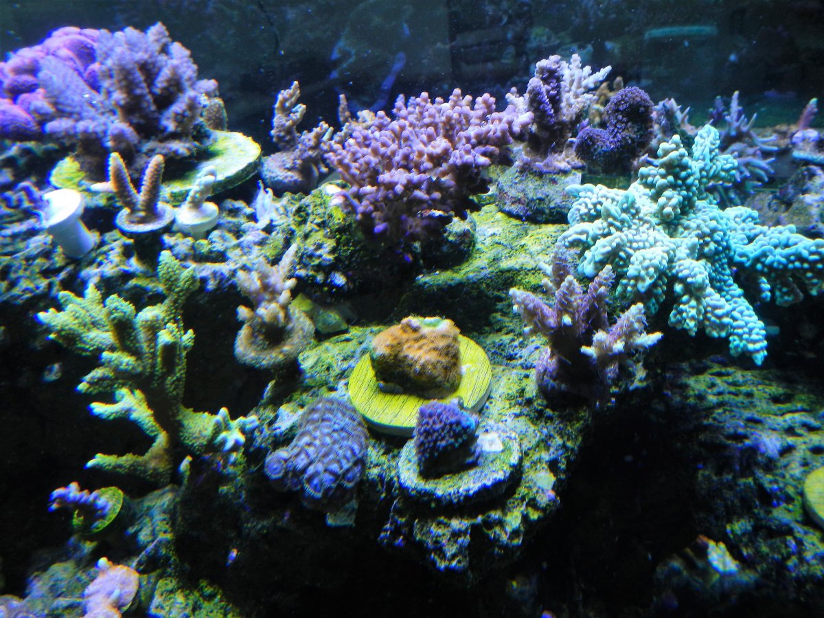 DSCN2171.JPG