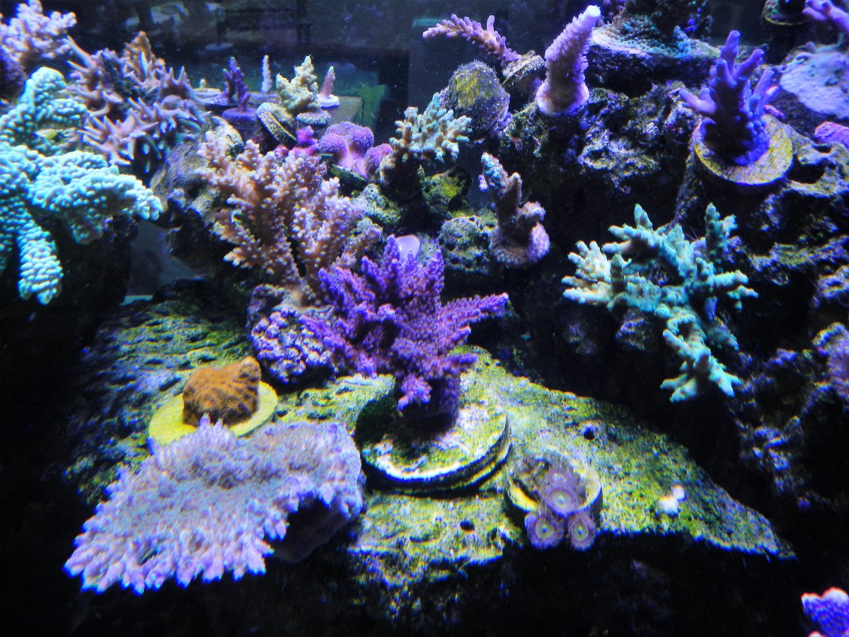 DSCN2172.JPG