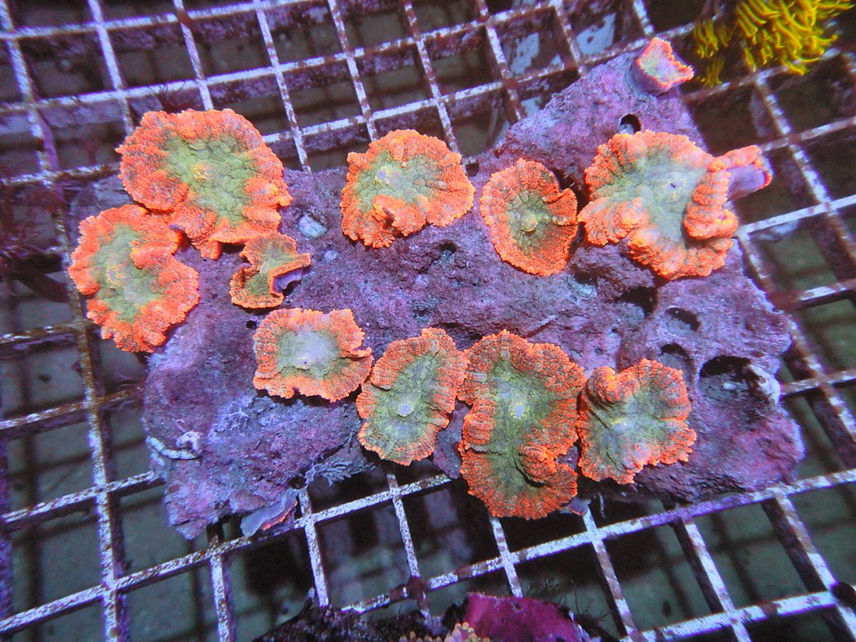 DSCN2272.JPG