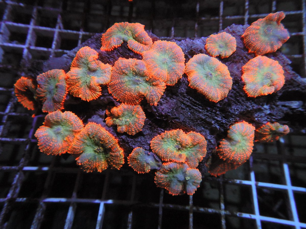 DSCN2279.JPG