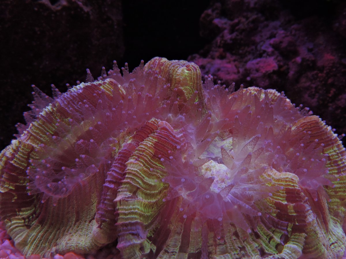 DSCN2551.JPG