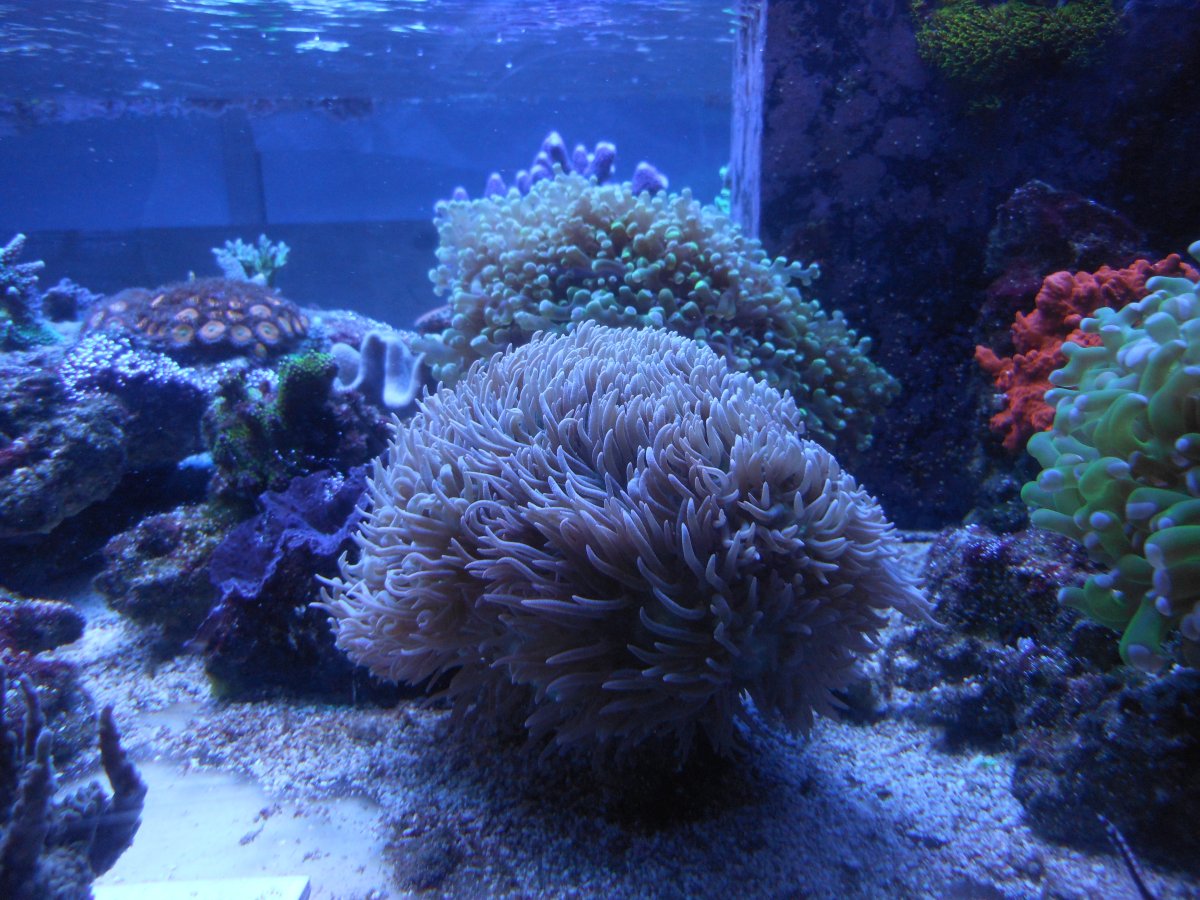 DSCN2569.JPG
