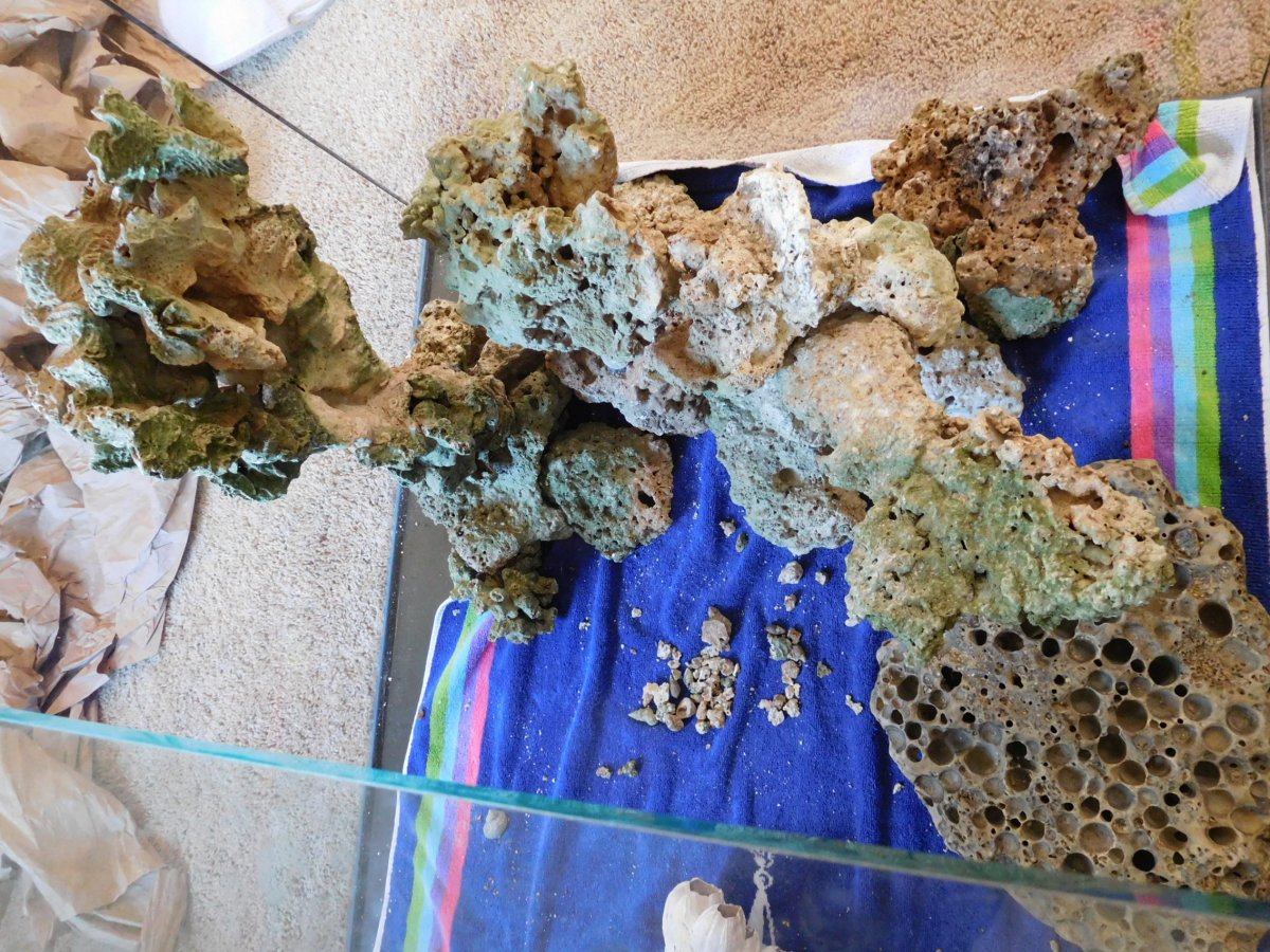 DSCN2612.JPG