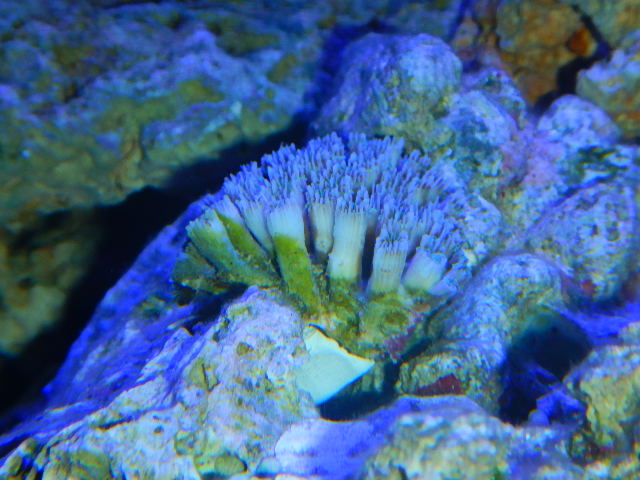 DSCN2672.JPG