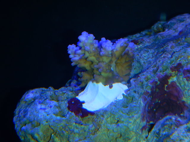 DSCN2675.JPG