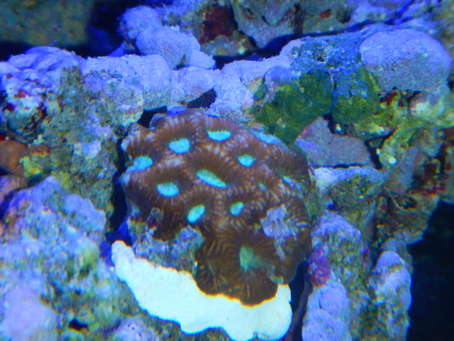 DSCN2676.JPG