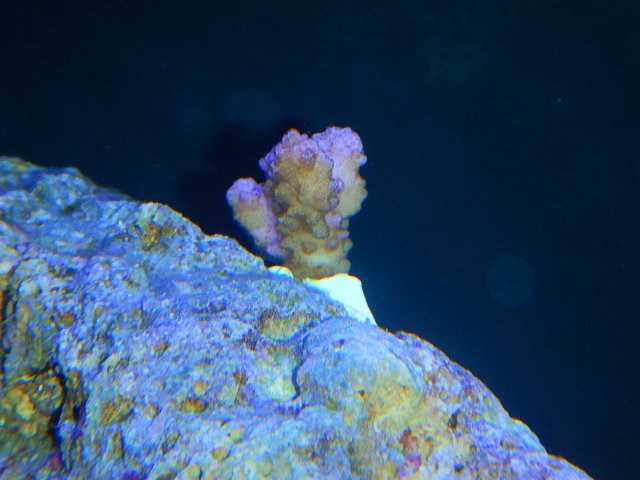 DSCN2680.JPG