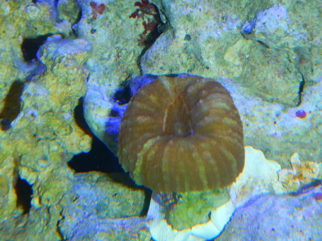 DSCN2696.JPG