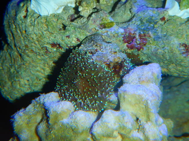 DSCN2698.JPG