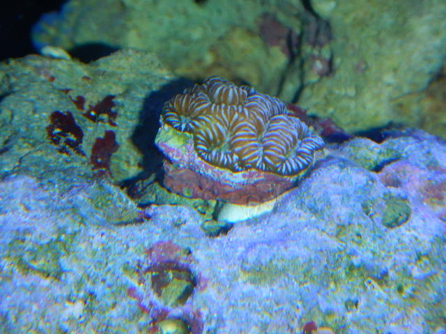 DSCN2699.JPG