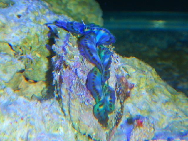 DSCN2700.JPG