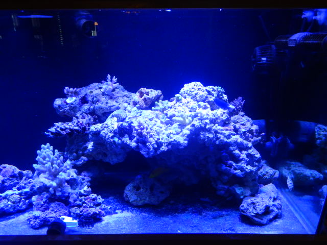 DSCN2703.JPG