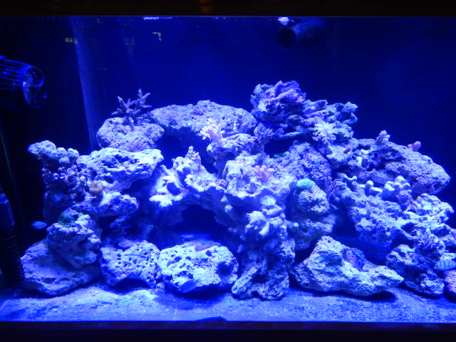 DSCN2705.JPG