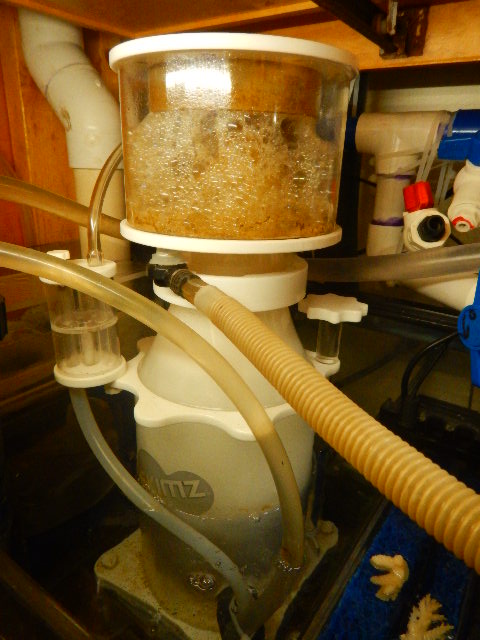 DSCN2706.JPG