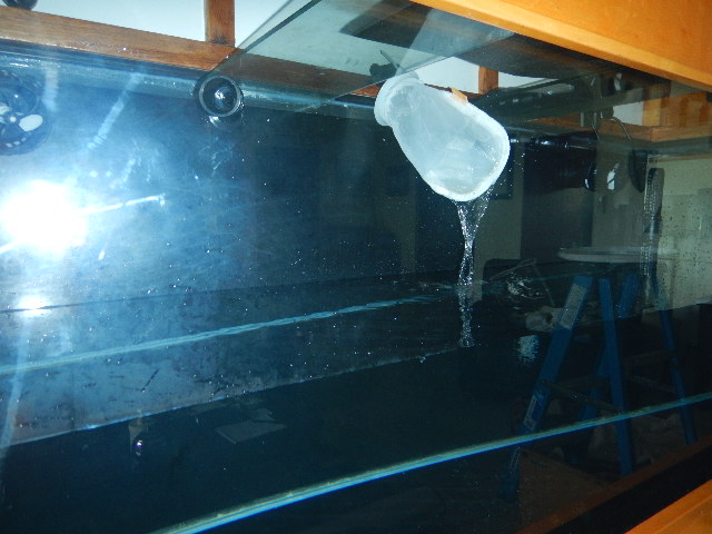 DSCN2715.JPG