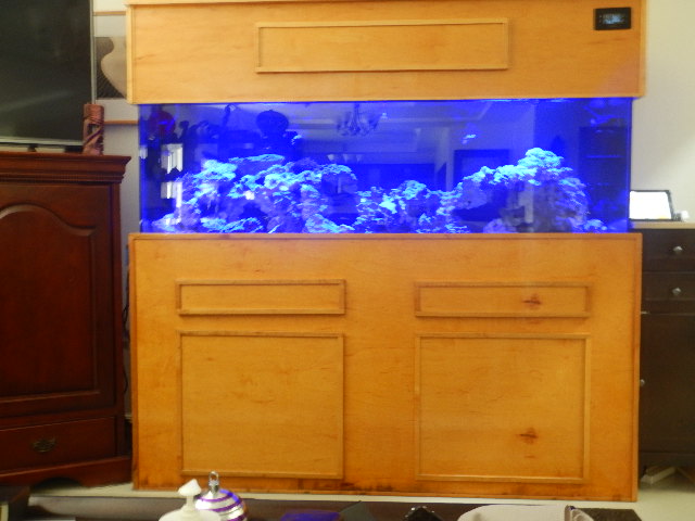 DSCN2720.JPG