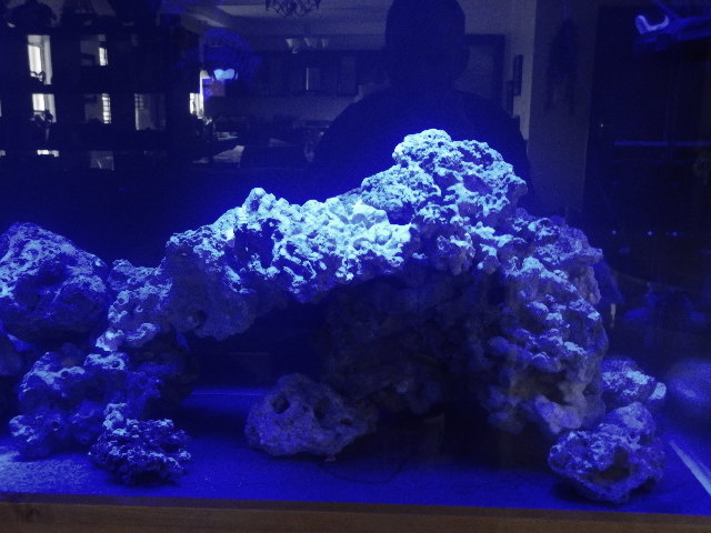 DSCN2723.JPG