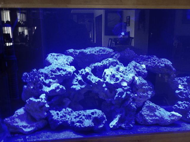 DSCN2725.JPG
