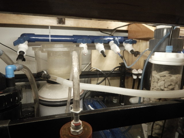 DSCN2730.JPG
