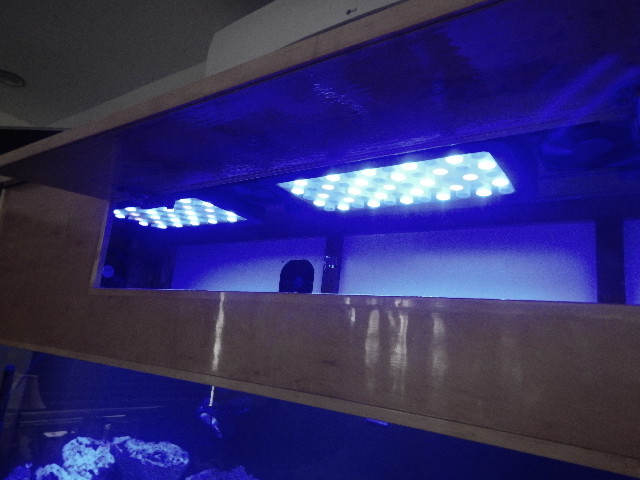 DSCN2732.JPG
