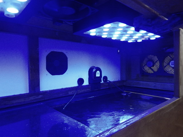 DSCN2733.JPG