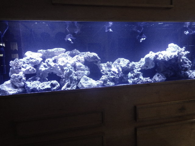 DSCN2734.JPG