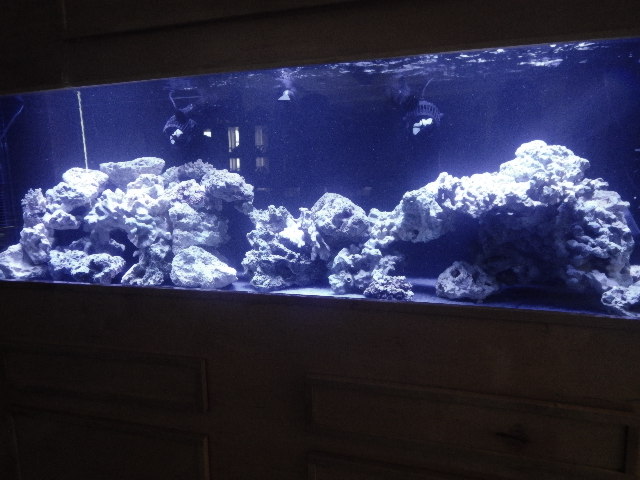 DSCN2735.JPG